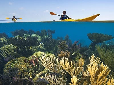 ua kayak coral